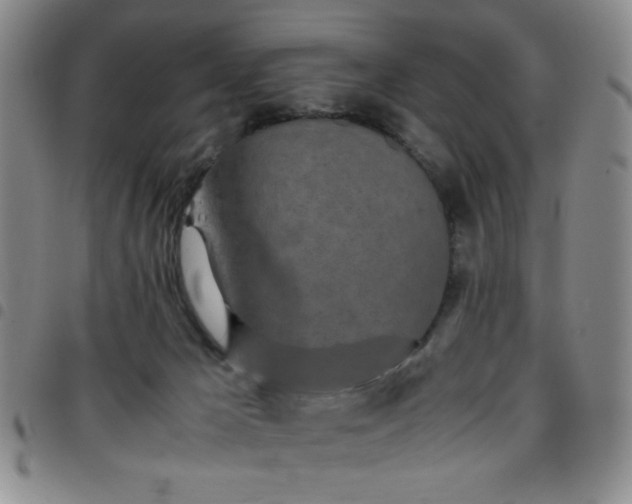 X0000097760029200803141733