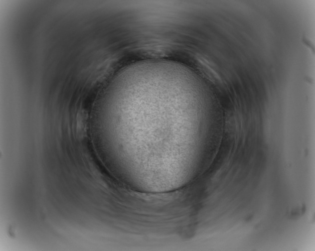 X0000097760030200803141733