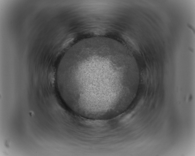 X0000097760032200803141733