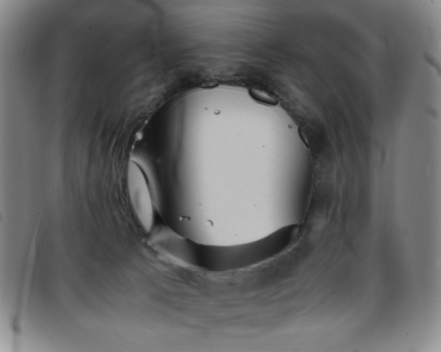 X0000097760033200803141733