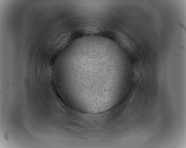 X0000097760034200803141733