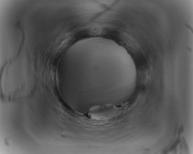 X0000097760035200803141733