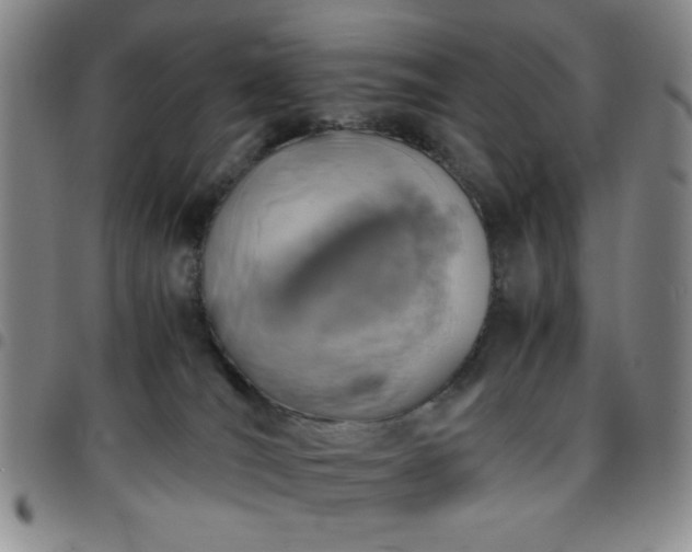 X0000097760036200803141733