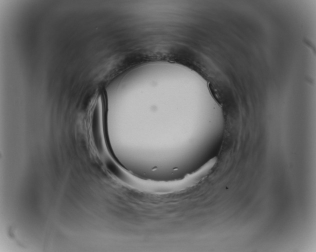 X0000097760037200803141733