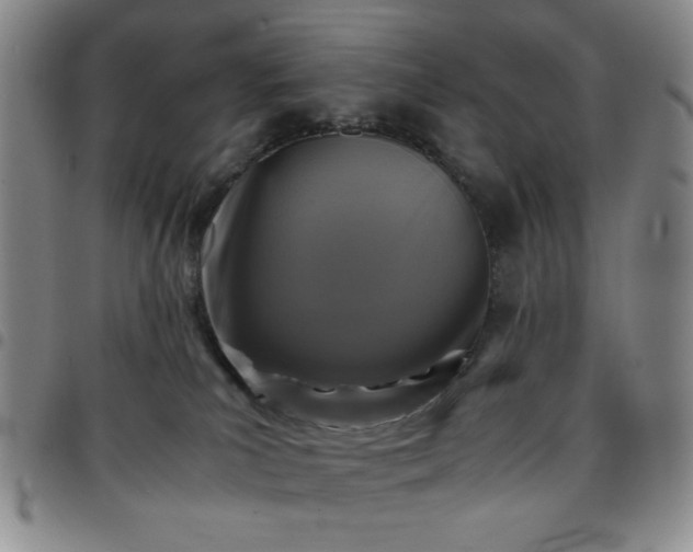 X0000097760039200803141733