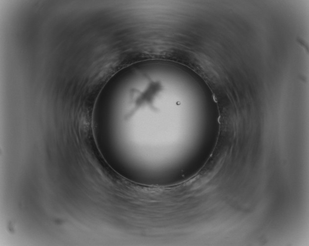 X0000097760040200803141733