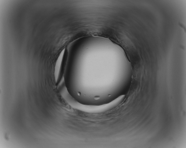 X0000097760041200803141733