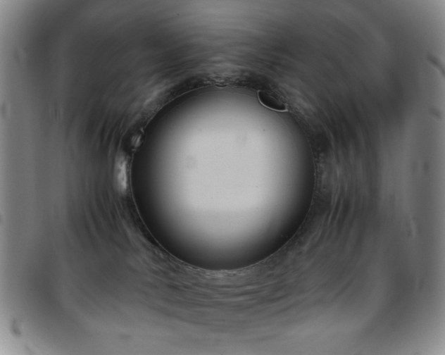 X0000097760042200803141733