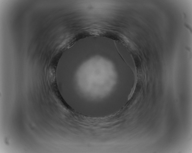 X0000097760043200803141733