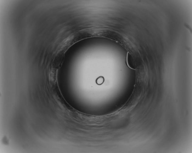 X0000097760044200803141733