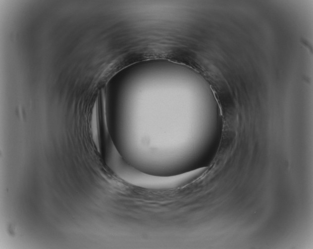 X0000097760045200803141733