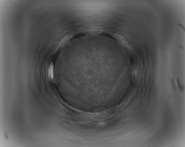 X0000097760046200803141732