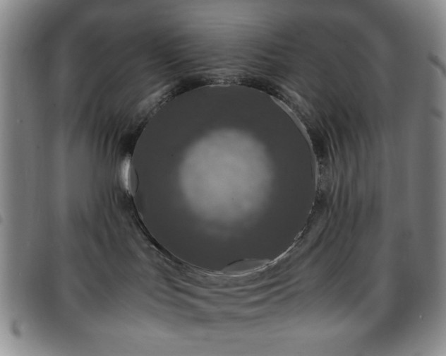 X0000097760047200803141732