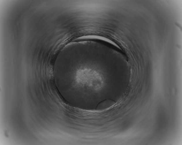 X0000097760048200803141732