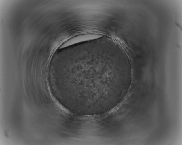 X0000097760049200803141732