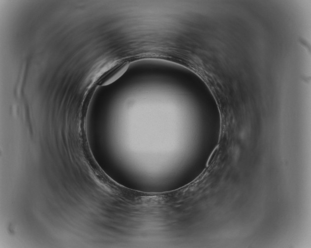 X0000097760050200803141732