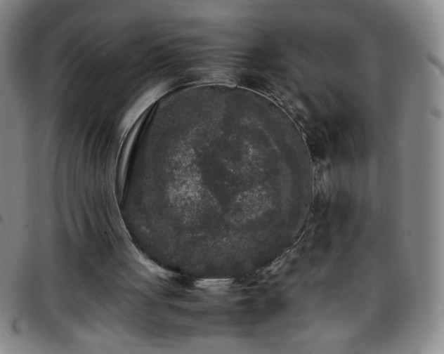 X0000097760051200803141732