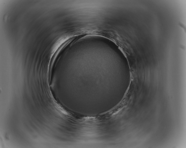 X0000097760052200803141732