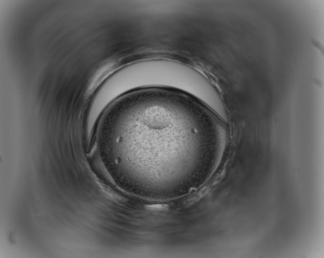 X0000097760053200803141732