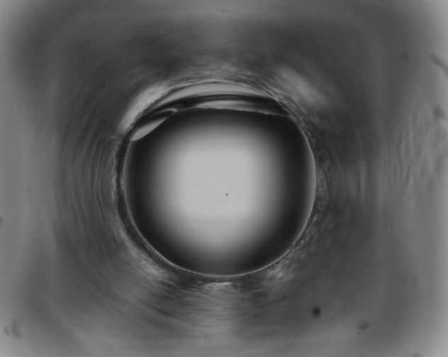 X0000097760054200803141732