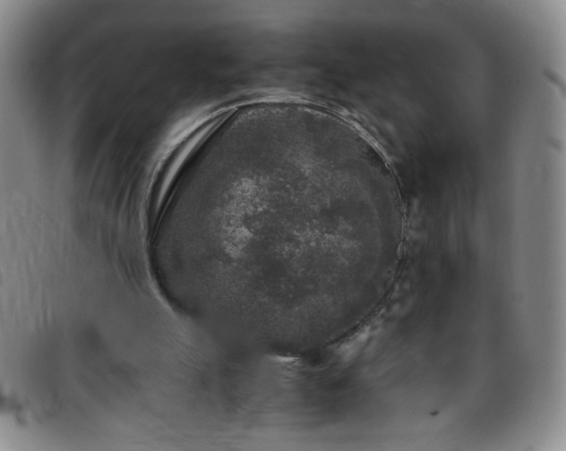 X0000097760055200803141732