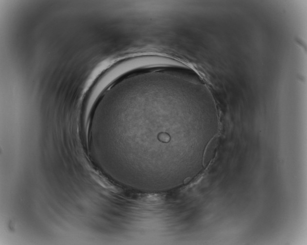 X0000097760056200803141732