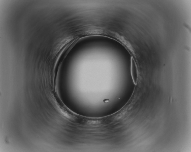 X0000097760057200803141732