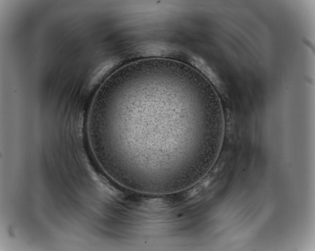 X0000097760058200803141732