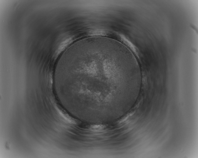 X0000097760059200803141732