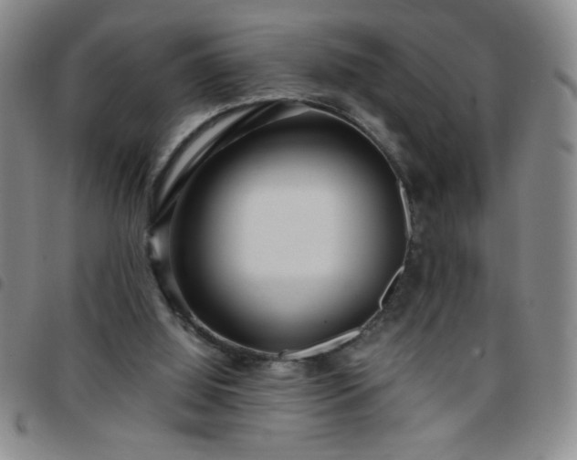 X0000097760060200803141732