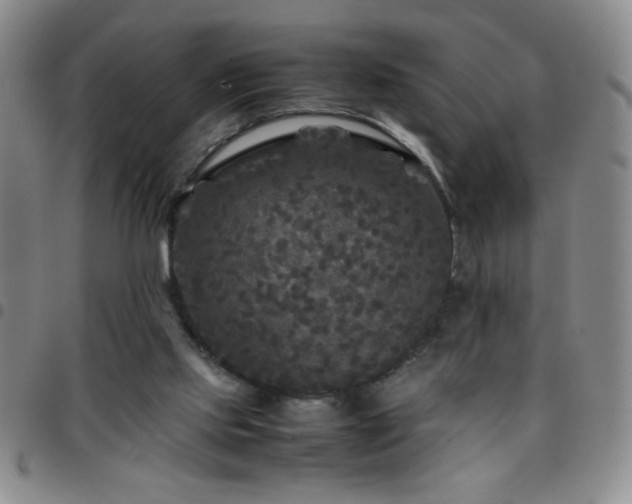 X0000097760061200803141732