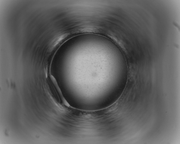 X0000097760062200803141732