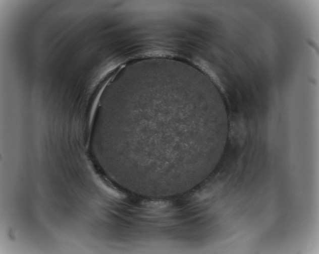 X0000097760063200803141732