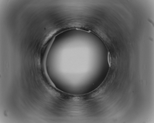 X0000097760064200803141732