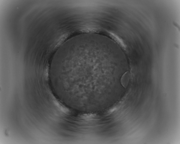 X0000097760065200803141732