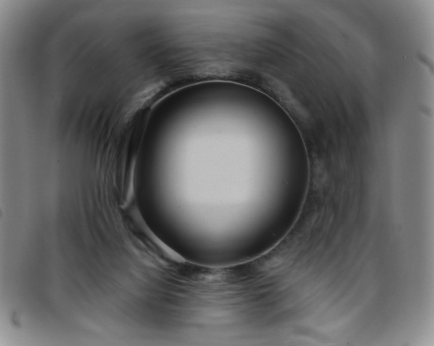 X0000097760068200803141732