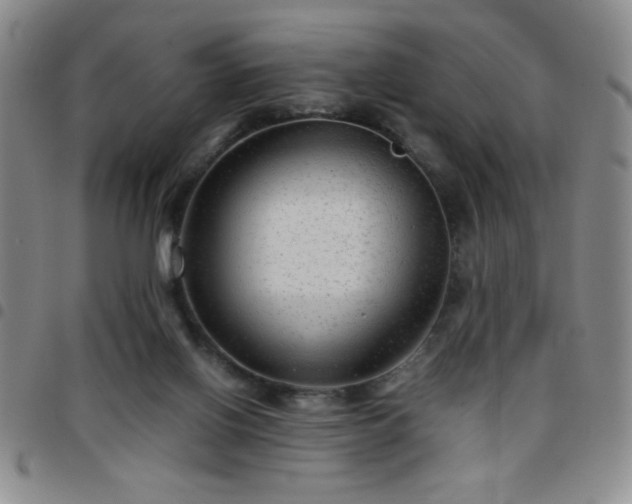 X0000097760070200803141732