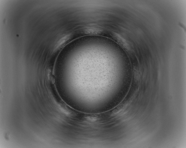 X0000097760071200803141732