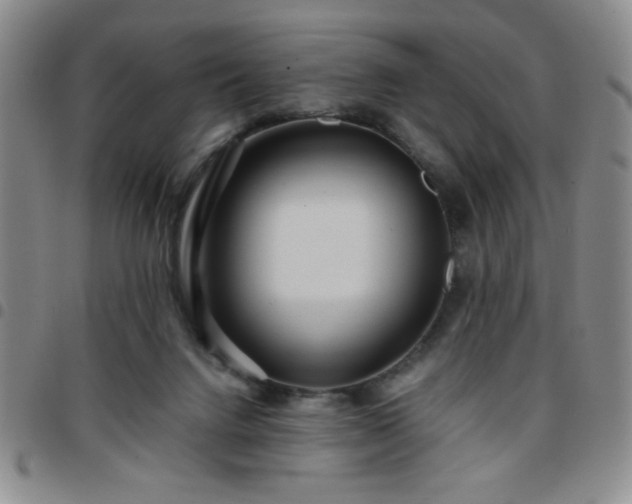 X0000097760072200803141732