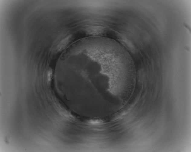 X0000097760073200803141732