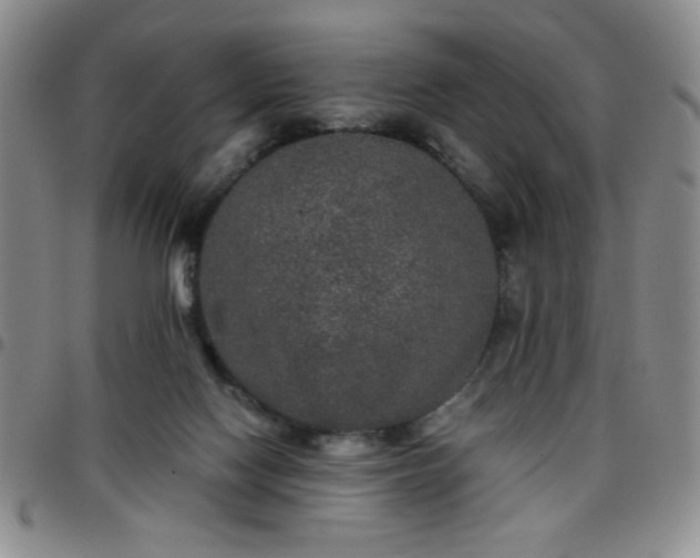 X0000097760074200803141732