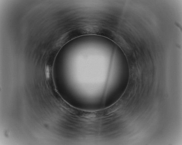 X0000097760075200803141732