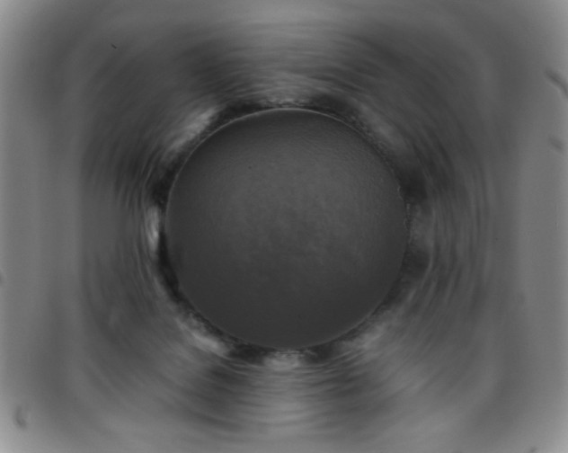 X0000097760076200803141732