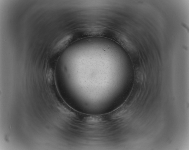 X0000097760077200803141732