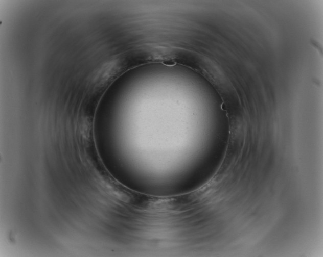 X0000097760078200803141732