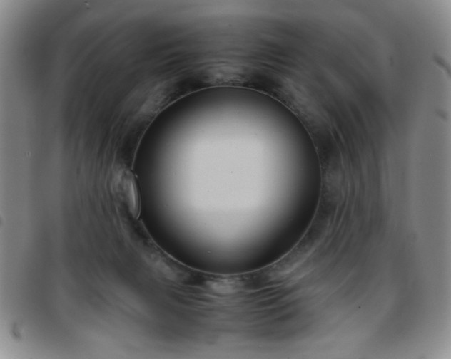 X0000097760079200803141732