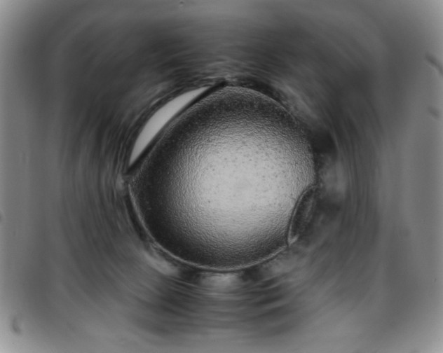 X0000097760081200803141732