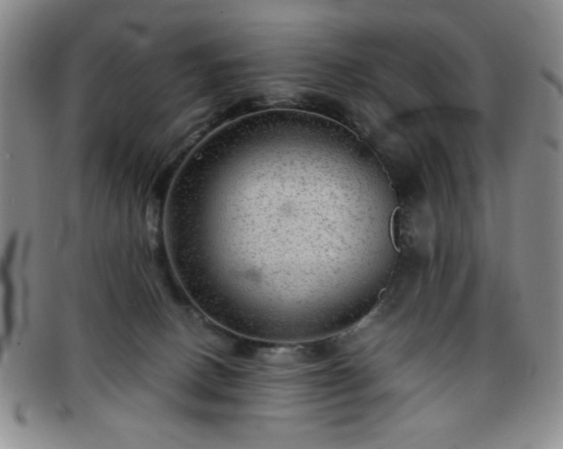 X0000097760082200803141732