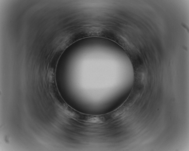 X0000097760083200803141732