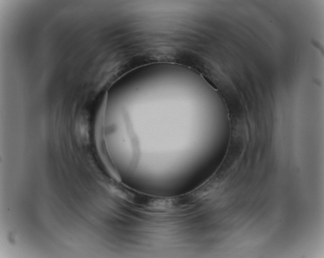 X0000097760084200803141732